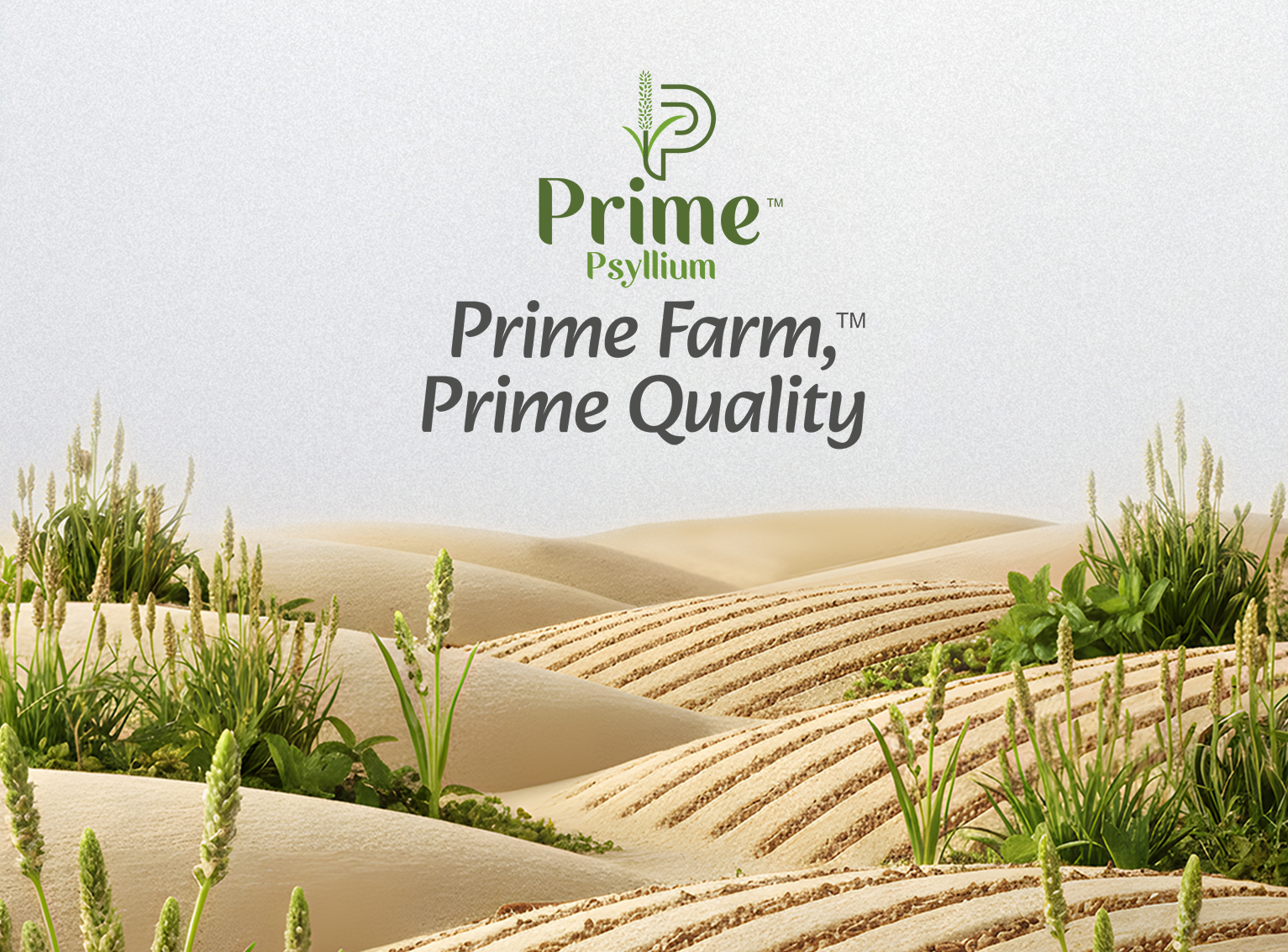 Prime Psyllium